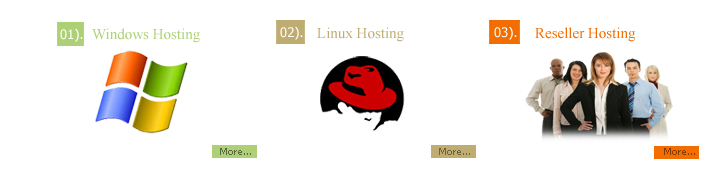 Windows Hosting Plan in India, Linux Hosting Plan in India, Reseller Plan in India